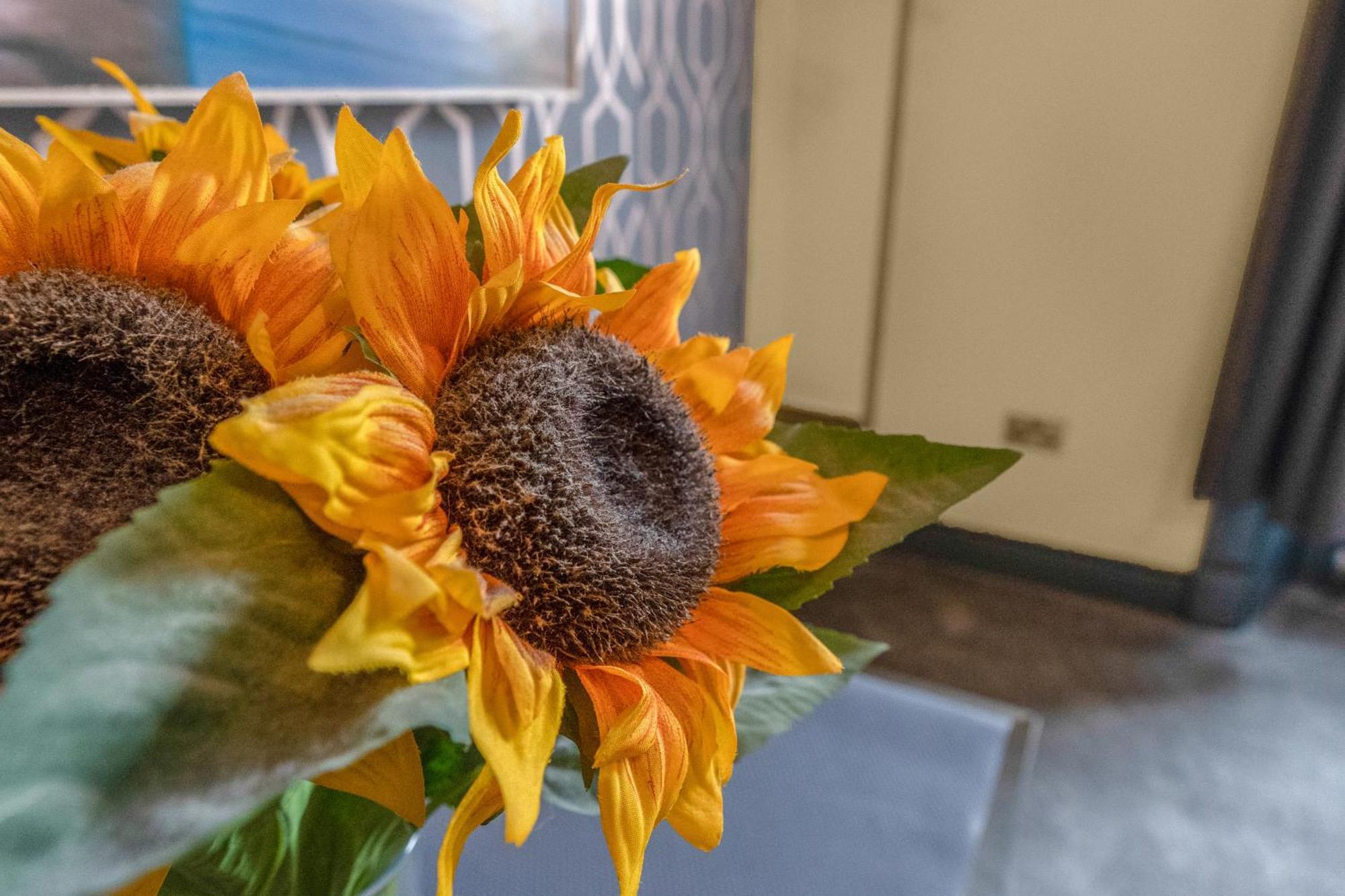 Cosy Modern City Centre Flat エディンバラ エクステリア 写真
